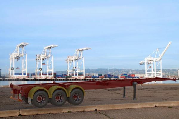 2024 Akaal Skeletal image